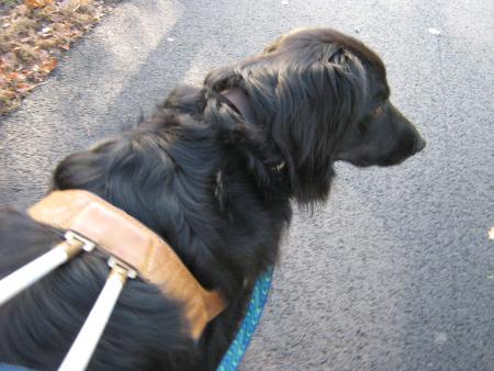 admirez ,    je bosse