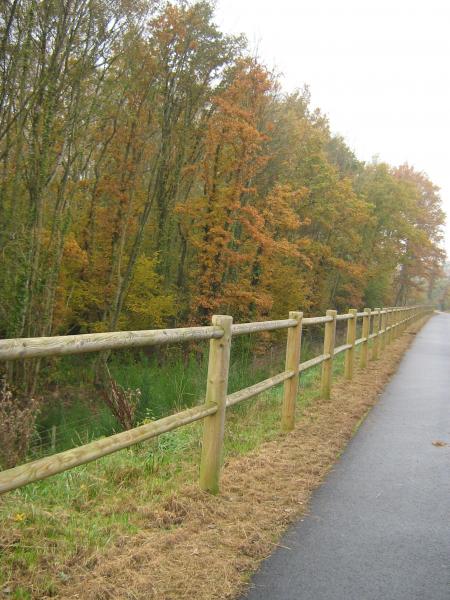 j'aime les couleurs de l'automne.