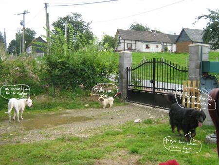 Ma copine VOXANE, PEPERE et  MOI