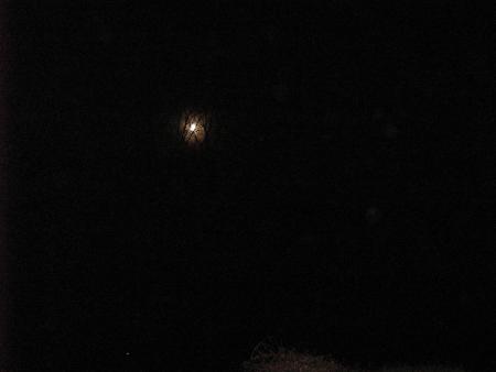 BONSOIR, Madame la lune, bonsoir