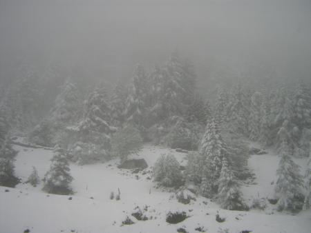 col du St Bernard   en 06.07  temp�te de neige