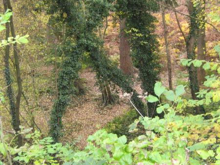 le coin des amoureux...