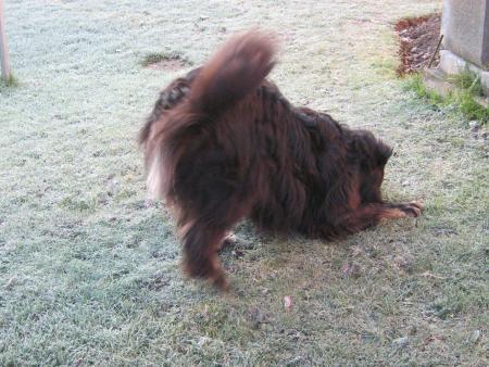 mes origines sont des Pays de l'est, en 3 photos voici mon go�t..