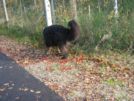 ah! zut c'est ferm�.