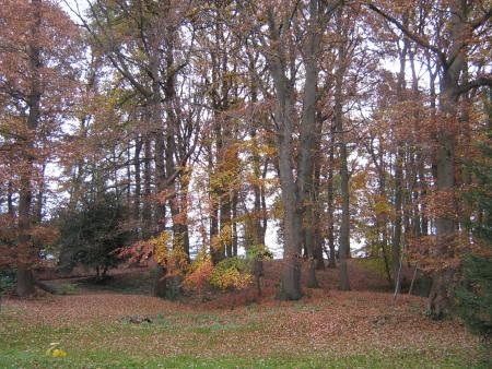 j'aime cette clairi�re � cette �poque...