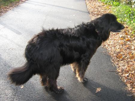 c'�tait hier en revenant du rendez-vous.. houuuu!