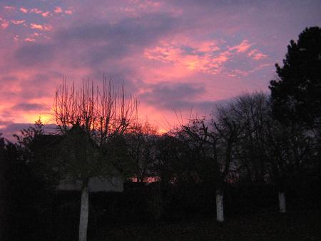 coucher de soleil sur les pommiers.          nov 2007