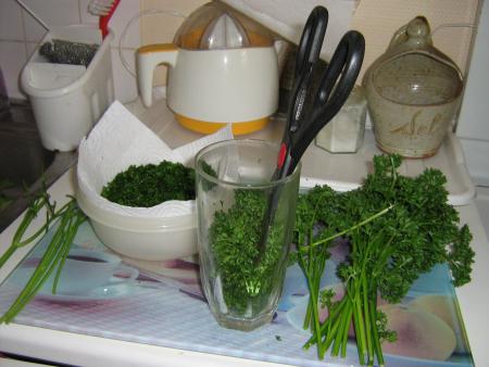 Conservation du persil.