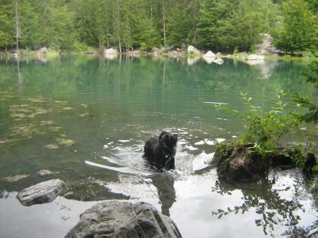 Lac vert   dep:74  en 08.07