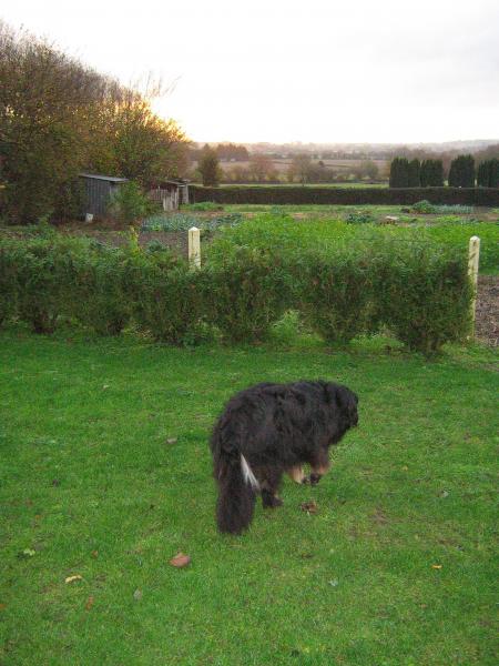 moi aussi je vais regarder...