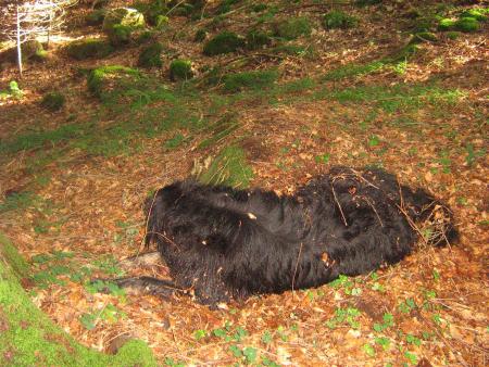 comme elle est mignone... 08.07