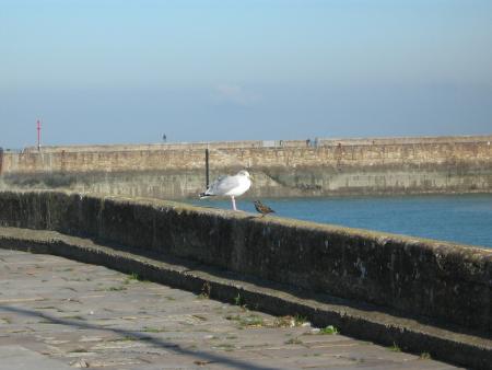 bonjour vous, comment allez-vous.....