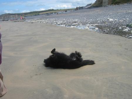 Allong�e sur le sable ......