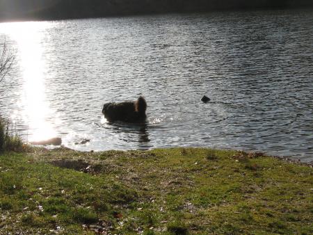 photo 1:: lach�e en d�tente � 30m environ du bord, 7secondes et le tour est jou�.