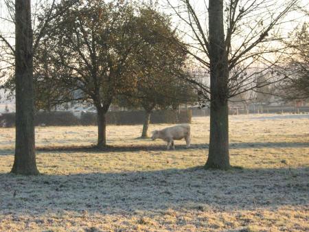 alors, quelle temp�rature?.. -2 hououou!! �a caille...