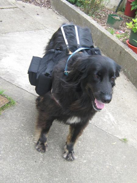 d�part en rando, Mamiemyope et moi, chacun son barda...