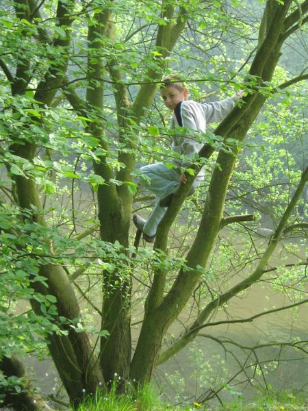 Tarzan! non Sulyvan.. un des .petits fils de Mamiemyope