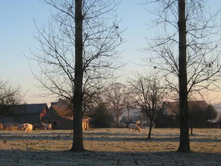 un peu moins froid qu'hier..... 0