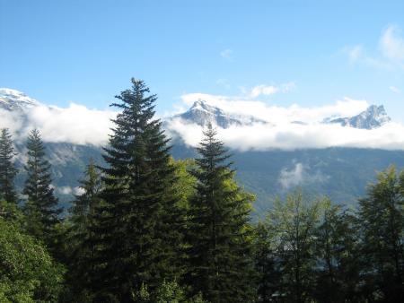 Dans la vall�e St Gervais   dep 74   le    08.07