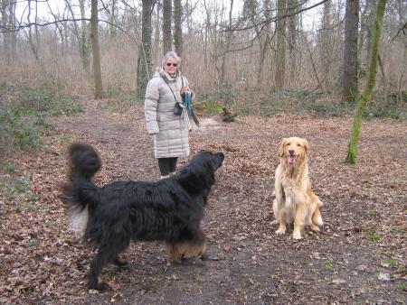 D�tente dans le bois de Vincenne. 2007