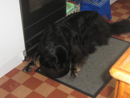 FENEANTE!!  MOI...!!!!je vois pas pourquoi.......