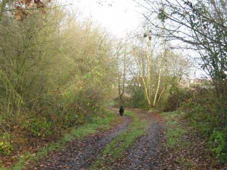 Un chemin comme je les aime...