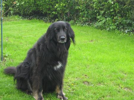 Bon!  je suis pr�te moi!! pour aller me tra�ner les fesses.....