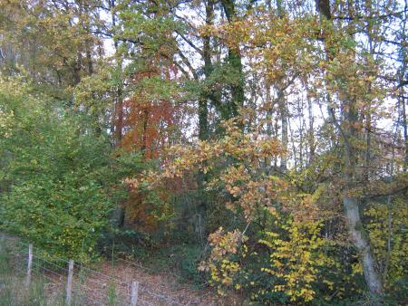 de toutes les couleurs.....