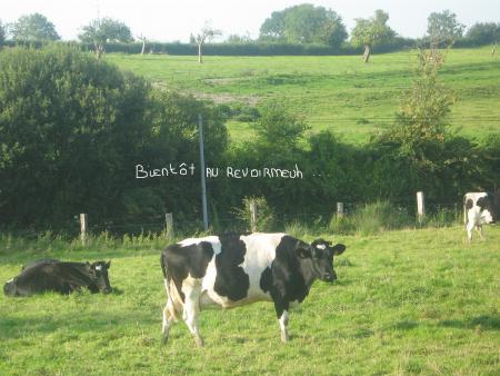 La Normandie jolie r�gion.