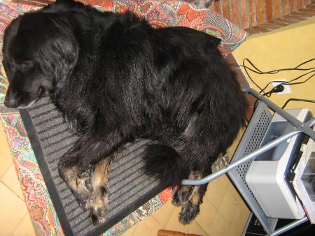 pffff!!!.. je suis fatigu�e