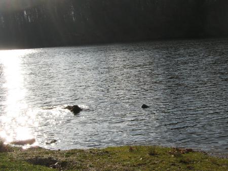 lach�e en d�tente :12secondes...en ( 2 photos) j'suis d�j� de retour, du 1� bain.