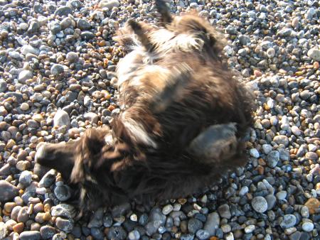 le soleil et la mer....