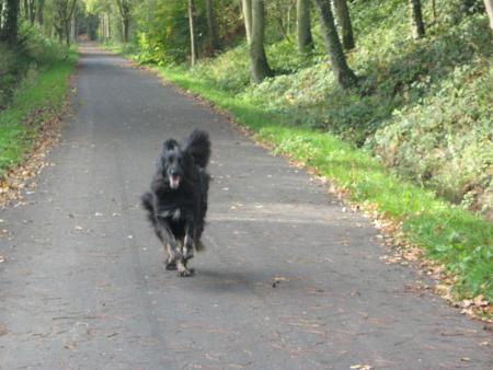 Et voil� la folle de Challiot, partie pour ses aventures.....