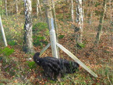 o� est-il pass�???...