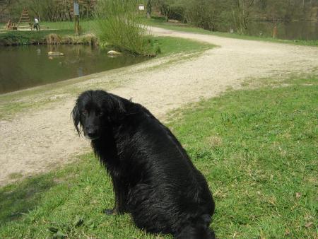 Ben quoi ?.. il fait frais ?... moi j'aime.. 05.07