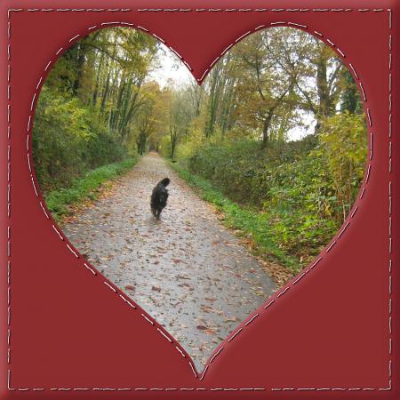 il pleut toujours alors Mamie tricote elle pense � vous quand m�me