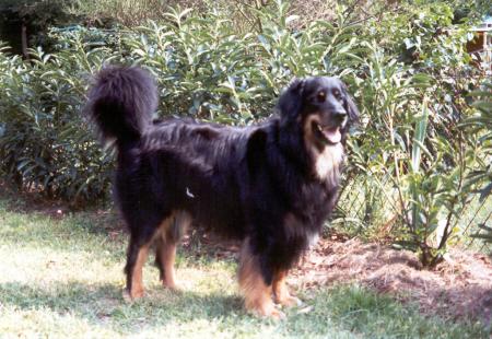 quel resemblance avec mon Papa, oui oui c'est pas moi c'est lui