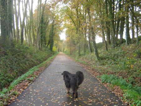 Mamie vient de me l�cher