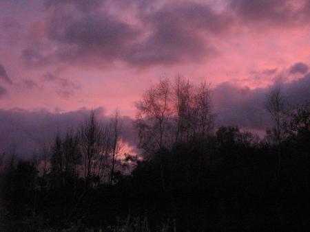 que c'est beau!!!...