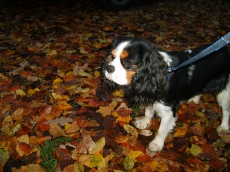 quoi! tu es derri�re l'�cran,  reste y t'es trop grosse....