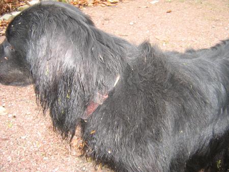 je suis pas belle????.....