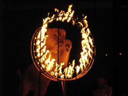 j'en ferais pas autant....