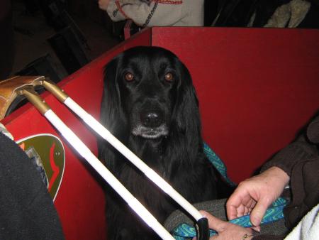 bon c'est quand qu'� commence!!!!...