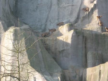 non ce n'est pas � la montagne!!!...