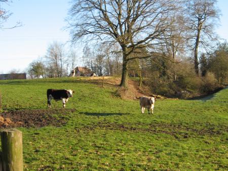 ben quoi tu veux ma photo!!!!....