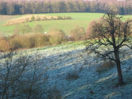 �chapp�e de la for�t vers les champs!...