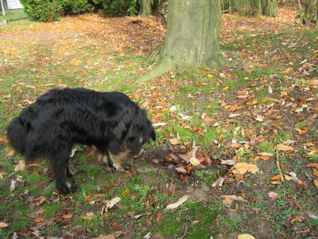 .YOUPPY!.... il fait beau!..