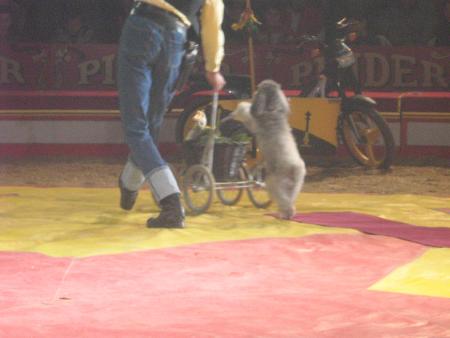 y a pas que moi qui bosse!....