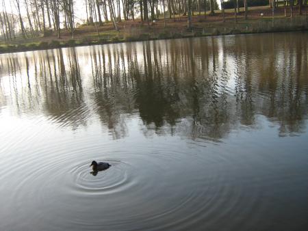 on n'a pas pu r�sister!...