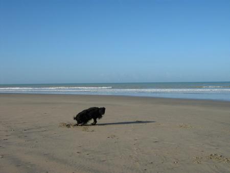 m�me l� je regarde en creusant!...